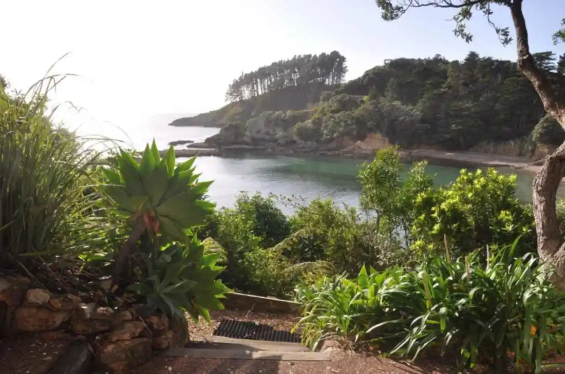 Native coastline and sheltered water at Enclosure Bay